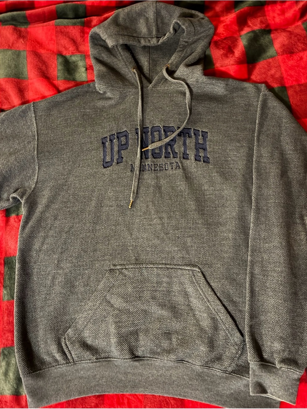 Pacific & Co. Up North Minnesota Men's Gray Hooded Sweatshirt - Pullover Hoodie